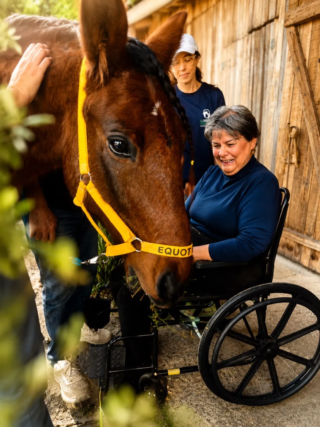 Pessoa em cadeira de rodas acariciando o cavalo na baia