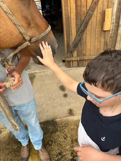 Menino de óculos azuis acariciando o focinho do cavalo